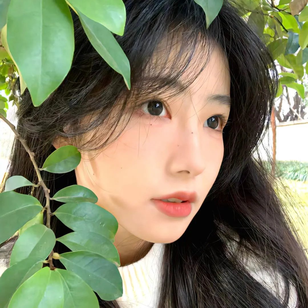 命运航班第一季