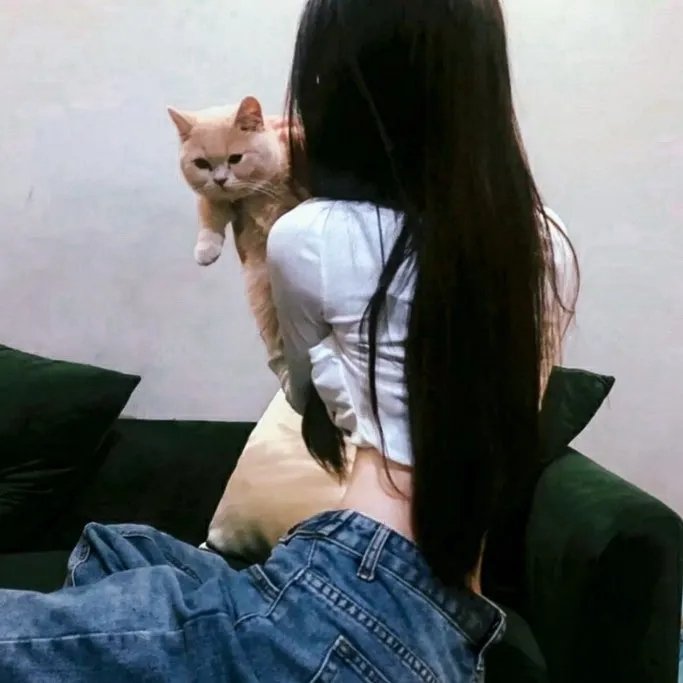 宇宙奇犬